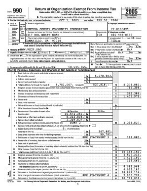 Form 990 Tax Exempt Organization Return