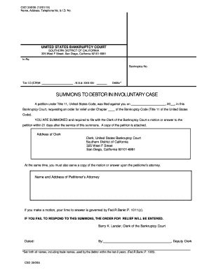 Summons to Debtor in Involuntary Bankruptcy Case