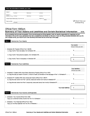 Bankruptcy Summary of Assets and Liabilities