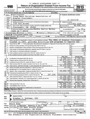 IRS Form 990 2013