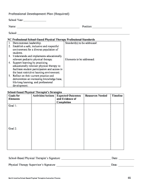 Professional Development Plan for School-Based Physical Therapists