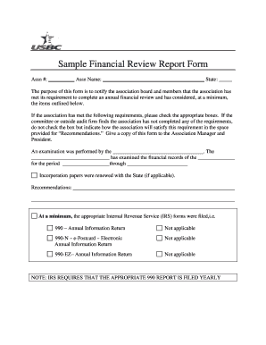 Sample Financial Review Report Form