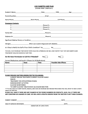 Diabetes Care Plan Form