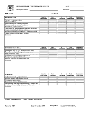 Support Staff Performance Review Form
