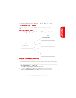 Endocrine System Study Guide