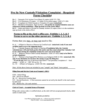Pro Se Child Custody Complaint