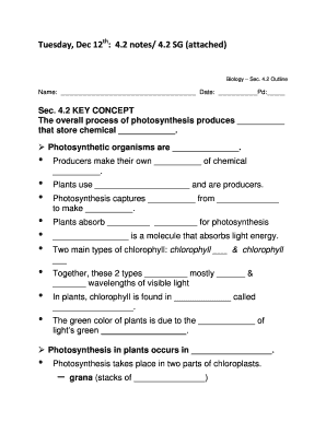 Biology Photosynthesis Study Guide