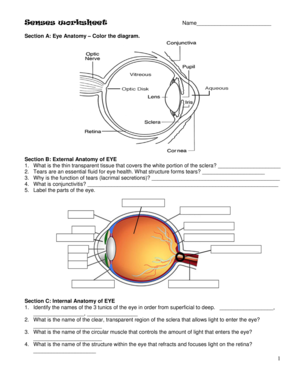 Senses Worksheet