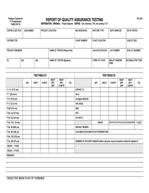 Michigan Quality Assurance Testing Report