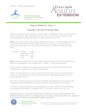 Debt-to-Income Ratio Calculator