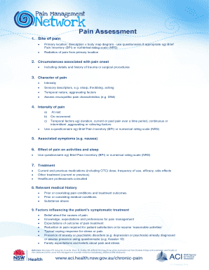 Pain Assessment Form
