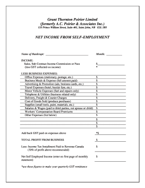 Net Income from Self-Employment Form