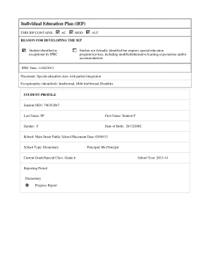 Individual Education Plan (IEP) Form