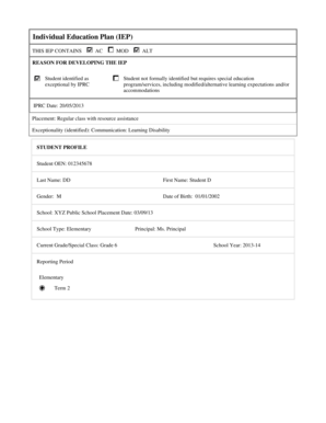 Individual Education Plan (IEP)
