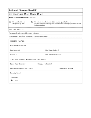 Individual Education Plan (IEP) Form