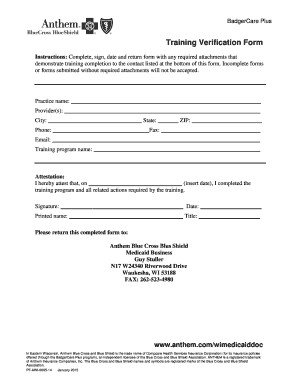 BadgerCare Plus Training Verification Form