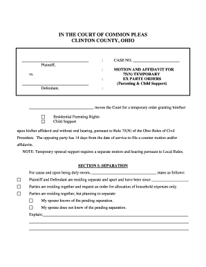 Motion and Affidavit for Temporary Ex Parte Orders