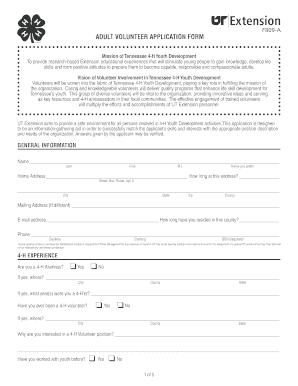 Adult Volunteer Application Form