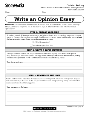 School Birthday Party Opinion Essay