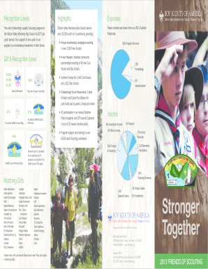Friends of Scouting Donation Form