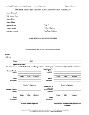 New York Youth Beef Cattle Identification Certificate