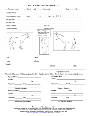 NYS 4-H Donkey/Mule Certificate