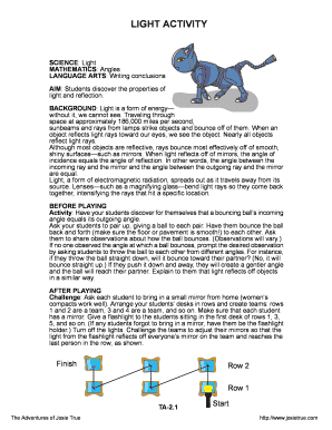 Light Activity Science Experiment