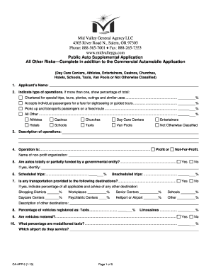 Public Auto Supplemental Application