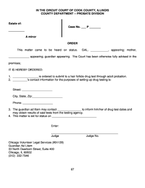 Cook County Probate Order for Minor