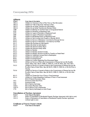 Minnesota Affidavit Forms