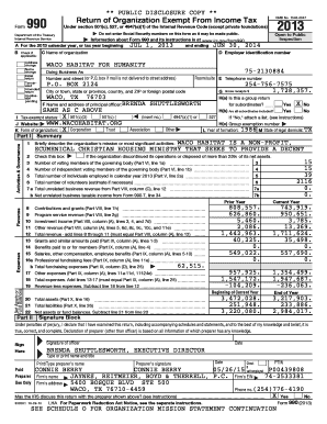 IRS Form 990 2013