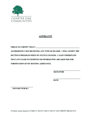 Affidavit of No Income