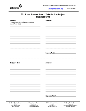 Girl Scout Bronze Award Budget Form