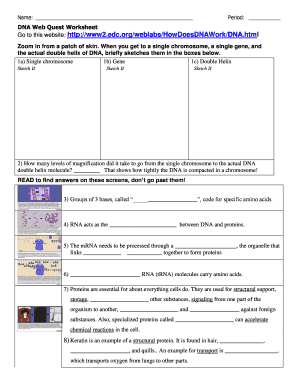 DNA Web Quest Worksheet