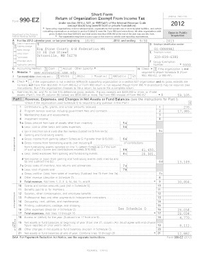 Form 990-EZ Tax Return