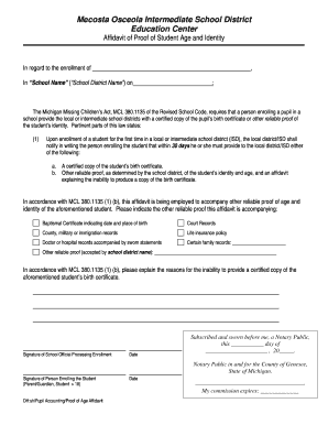 Michigan Student Age and Identity Affidavit