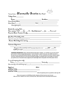 Mer-Friend applicationdocx