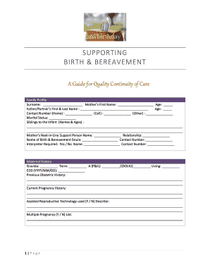 Birth and Bereavement Care Form