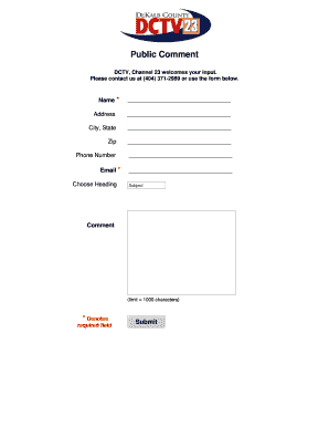 Public Comment Form