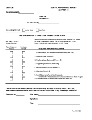 Chapter 11 Debtor Monthly Operating Report