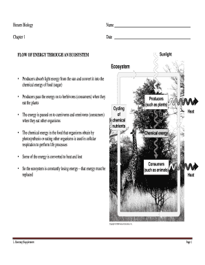 Honors Biology Worksheet
