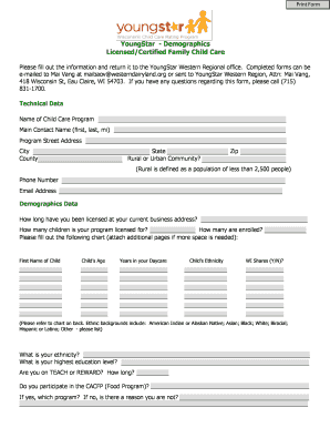 YoungStar Child Care Program Demographics Form