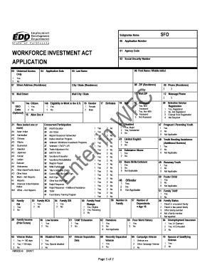 Workforce Investment Act Application