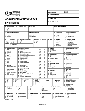 Workforce Investment Act Application
