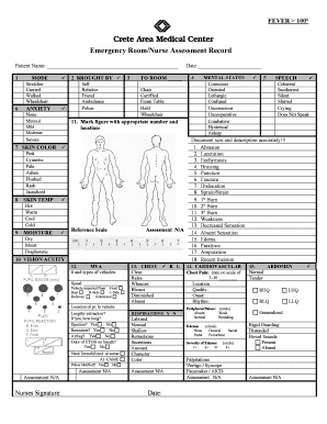 Emergency Room Nurse Assessment Record