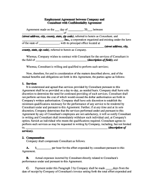 Consultant Employment Agreement with Confidentiality