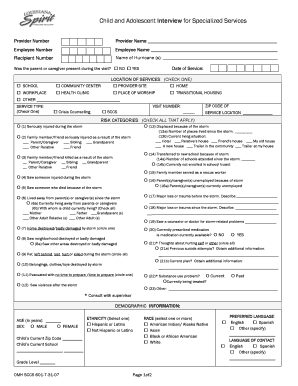 Child and Adolescent Interview for Specialized Services