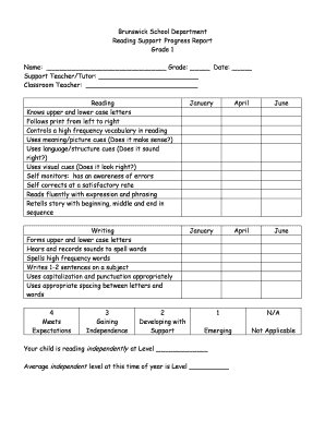 Reading Support Progress Report