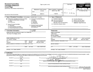 California Campaign Statement Form 460