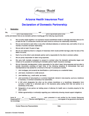 Arizona Domestic Partnership Declaration